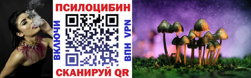 Купить закладки  Южно-Сахалинск  Псилоцибиновые грибы Psilocybine cubensis 